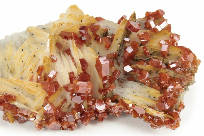 Ruby Red Vanadinite Crystals on White Barite - Morocco #231841